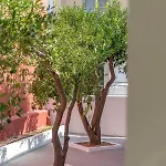 Lithostroto Retreat #1 شقة *